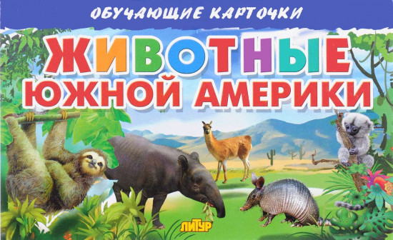 Животные Южной Америки. Обучающие карточки