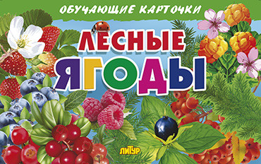 Лесные ягоды