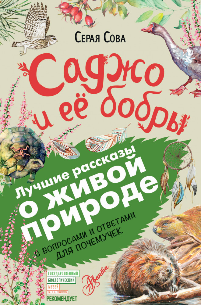 Саджо и её бобры | Лучшие рассказы о живой природе с вопросами и ответами для почемучек