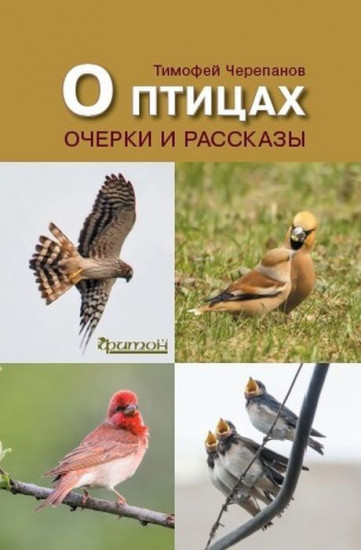 О птицах