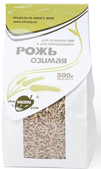 Рожь озимая