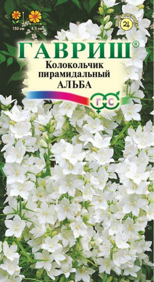 Колокольчик пирамидальный «Альба»