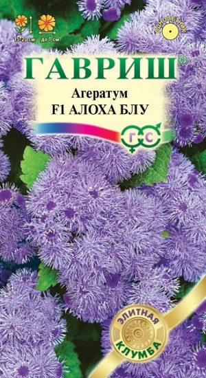 Агератум «Алоха Блу»