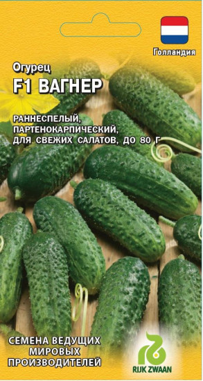 Огурец «Вагнер»