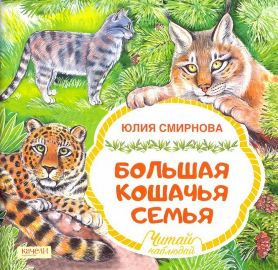 Большая кошачья семья