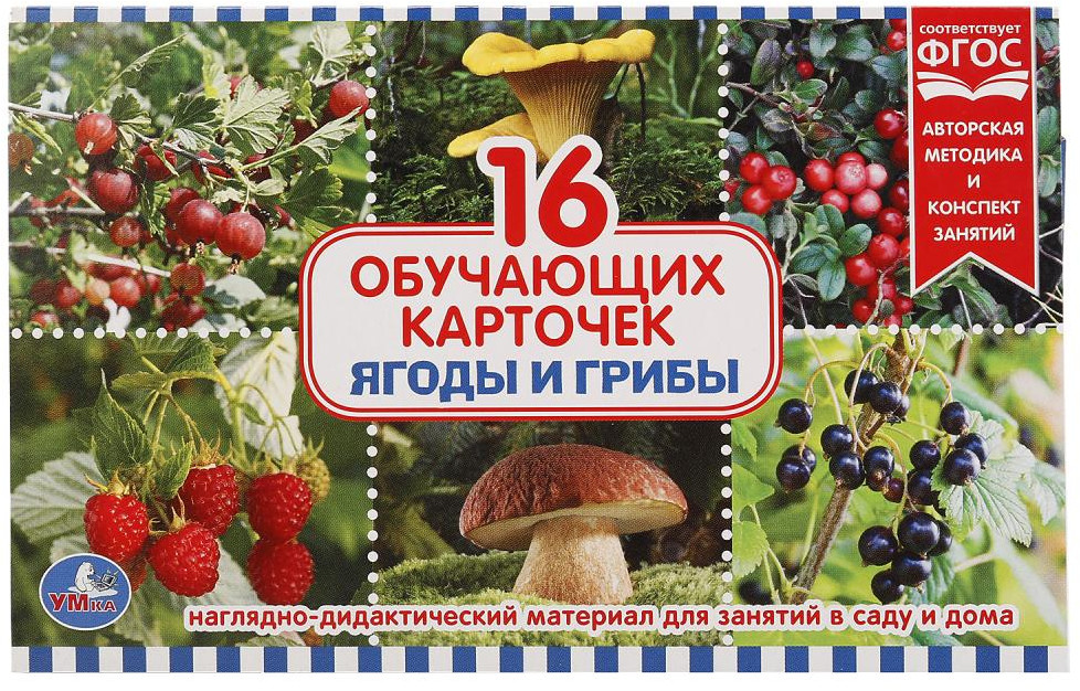 Карточки развивающие «Ягоды и грибы» | Карточки в папке | УМка