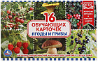 Карточки развивающие «Ягоды и грибы»