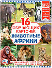 Карточки развивающие «Животные Африки»