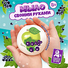 Набор для изготовления мыла своими руками «Яблоко и смородина»