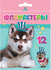 Набор фломастеров