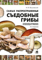 Самые распространенные съедобные грибы