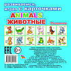 Карточки обучающие «Animals животные»