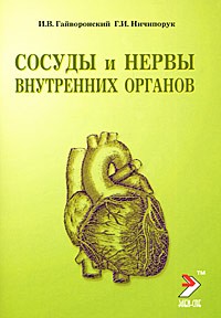 Сосуды и нервы внутренних органов