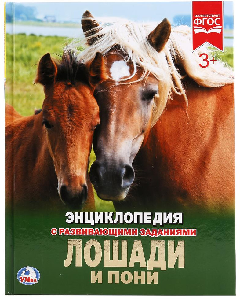 Лошади и пони | УМка