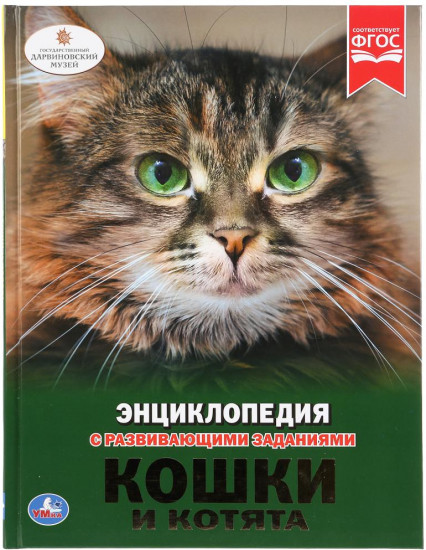 Кошки и котята. Энциклопедия