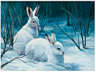 Картина по номерам «Зайцы в лесу»