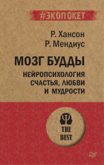 Мозг Будды. Нейропсихология счастья