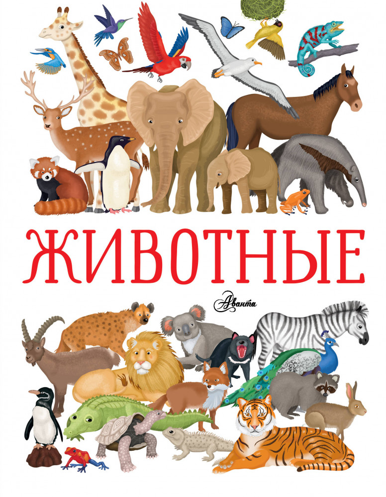 Животные | Мировой научпоп для детей