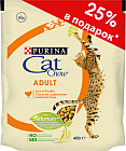 домашняя птица