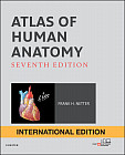 Atlas of human Anatomy