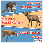 Жануарлар. Животные. Казахстан