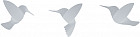 Декор для стен «Hummingbird»