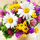 Мозаика алмазная «Букет с ромашками»