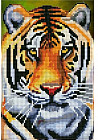 Мозаика алмазная «Величественный тигр»