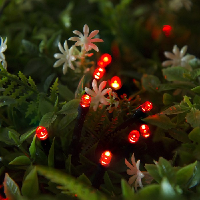 Гирлянда уличная «Нить» | Luazon Lighting