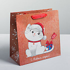 Пакет крафтовый «Волшебного праздника»