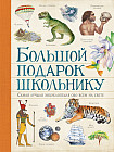 Большой подарок школьнику