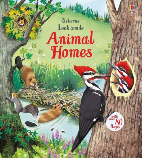 Look Inside Animal Homes