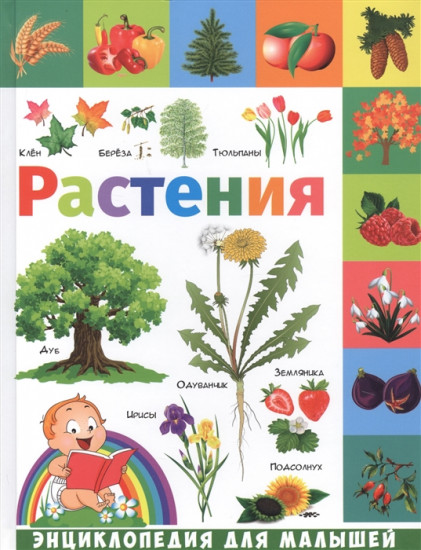 Энциклопедия для малышей «Растения»