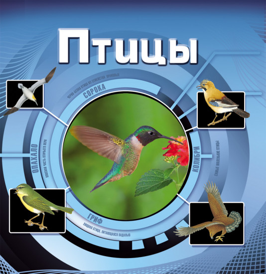 Птицы