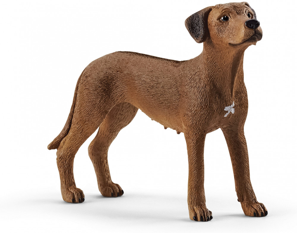 Фигурка «Родезийский риджбек» | Farm World | Schleich