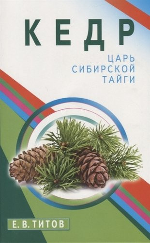Кедр — царь сибирской тайги