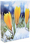 Фотоальбом «Four seasons»