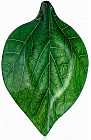 Салатник «Oval Leaf»