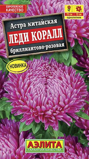 Астра бриллиантово-розовая «Леди Коралл»