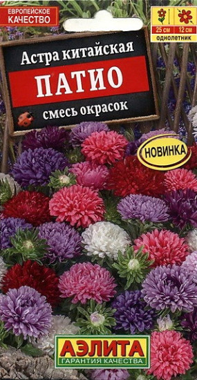Астра «Патио»