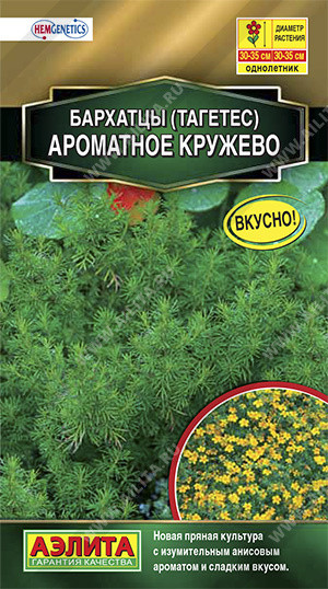 Бархатцы «Ароматное кружево»