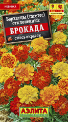 Бархатцы «Болеро отклоненные»