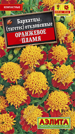 Бархатцы «Оранжевое пламя»
