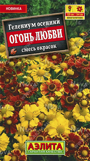Гелениум «Огонь любви»
