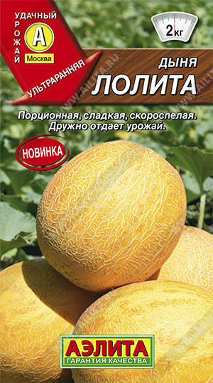 Дыня «Лолита»