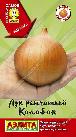 Лук репчатый «Колобок»