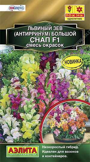 Львиный зев махровый «Снап F1»