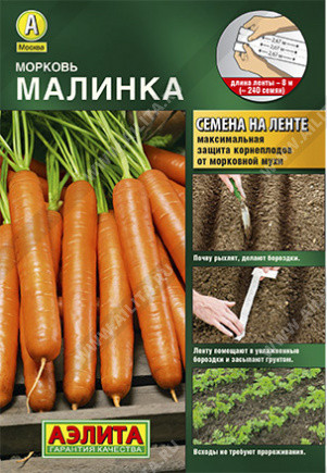 Морковь «Малинка»