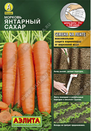 Морковь «Янтарный сахар»