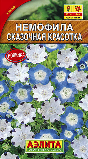 Немофила «Сказочная красотка»